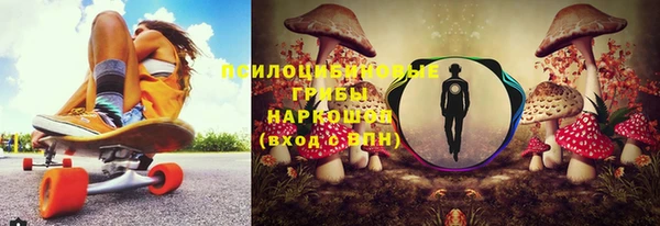 герыч Новозыбков