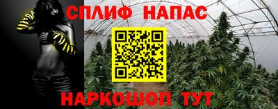 альфа пвп Камышлов