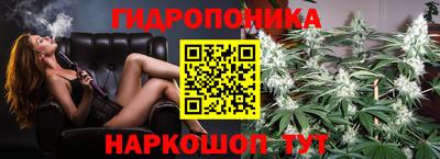 шишки Балаково